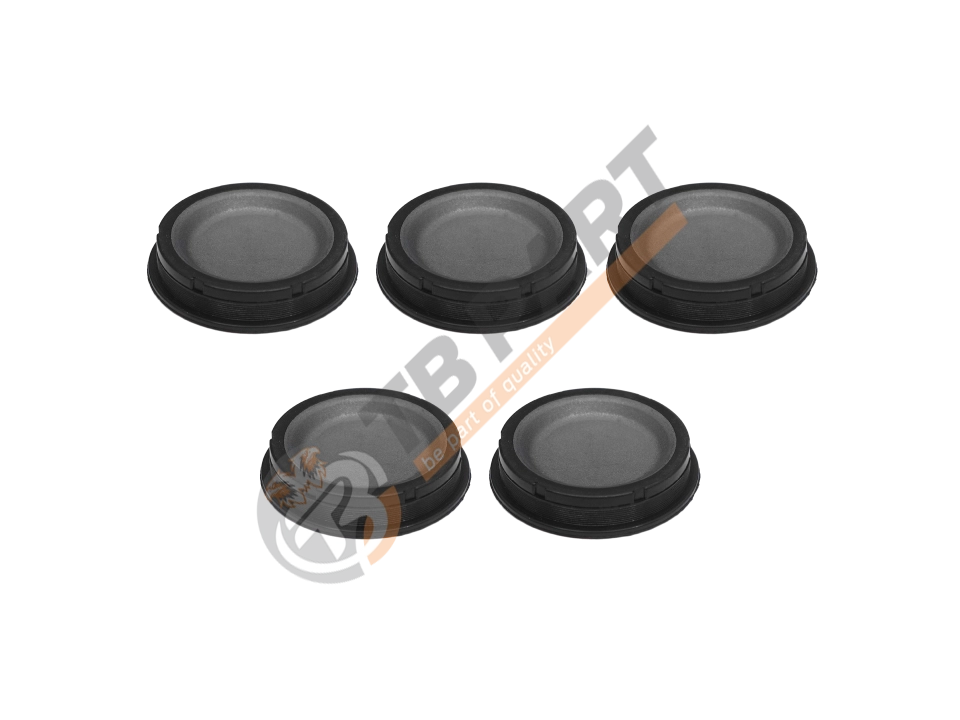 Caliper Plug Kit
