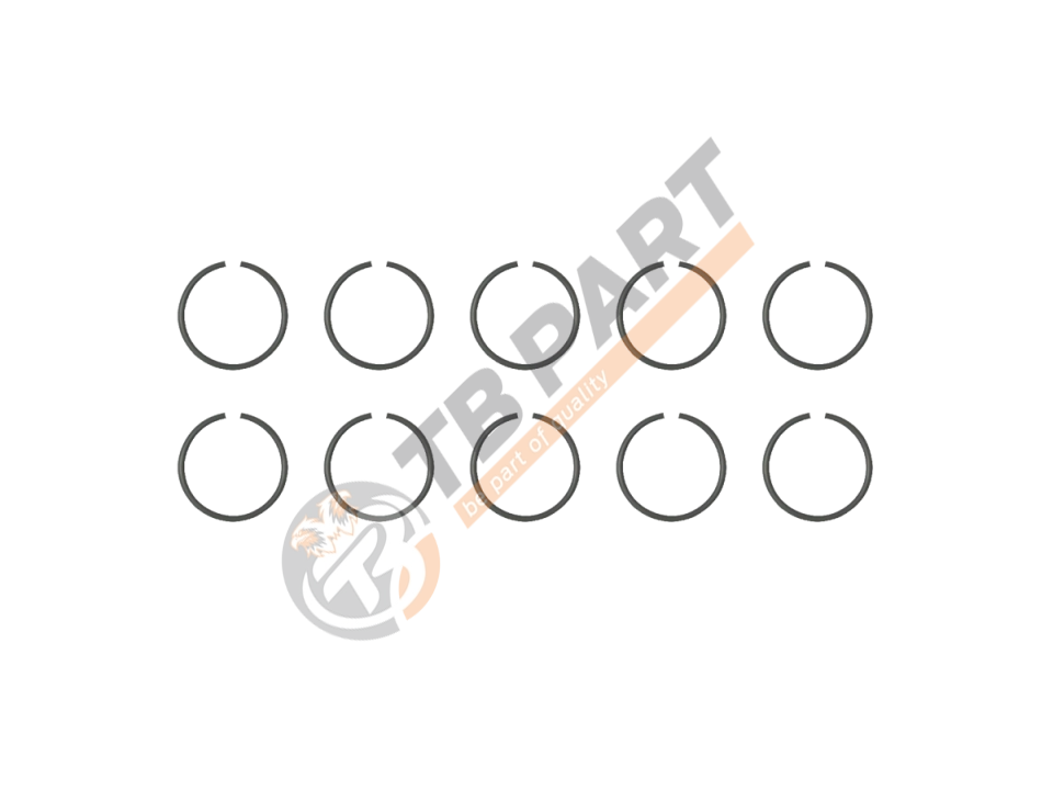 Caliper Circlip Kit