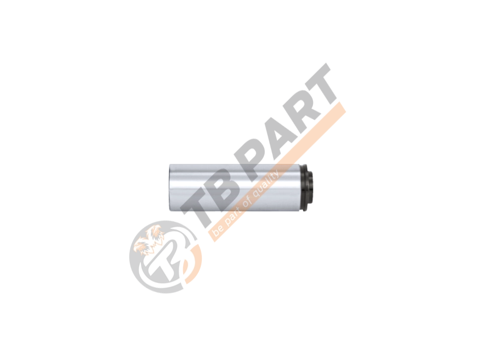 Guide Pin Ø36 X 103 mm