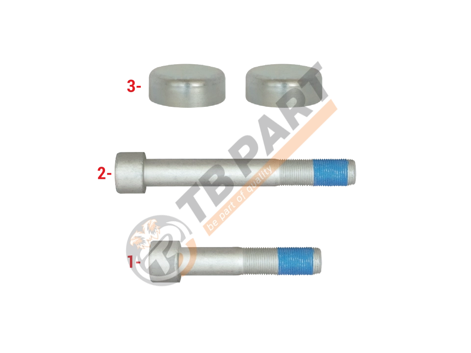 Caliper Bolt & Cap Kit