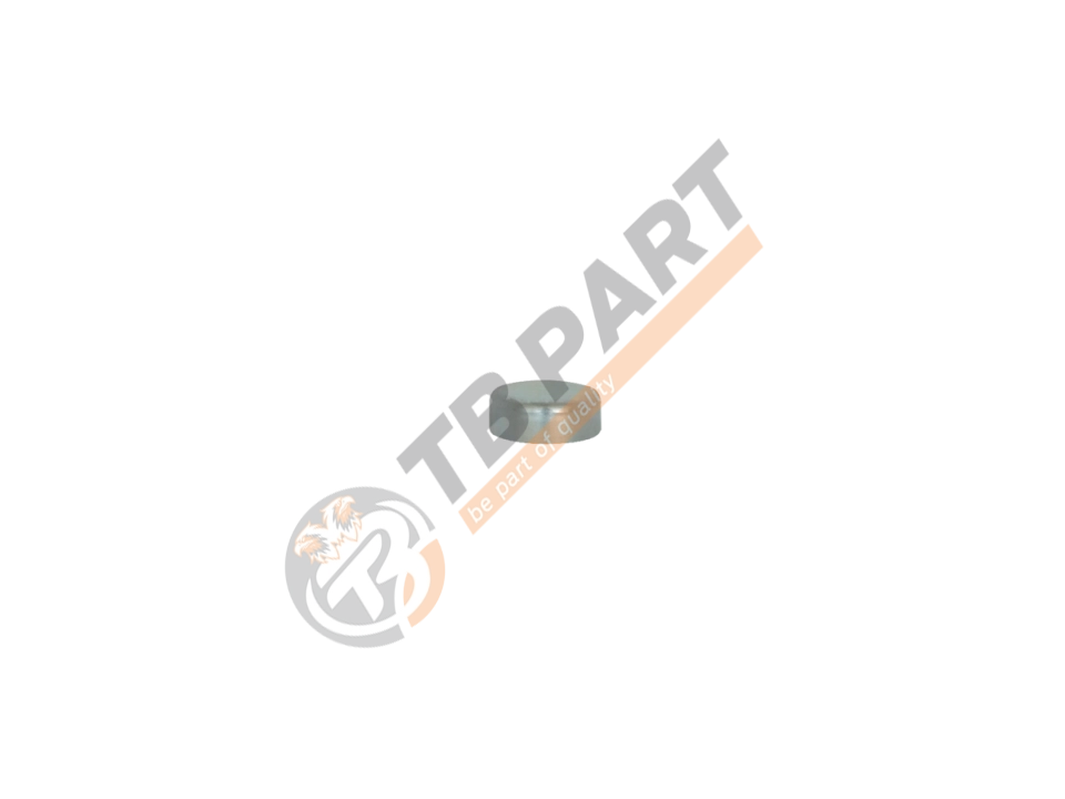 Steel Cap Ø45 x 17 mm