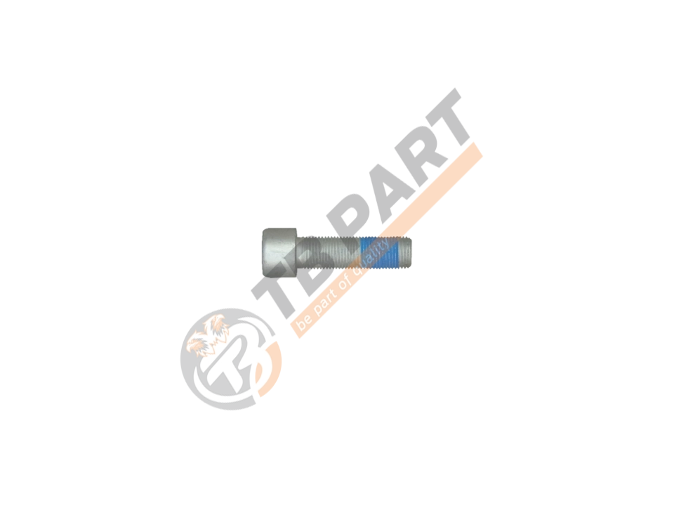 Bolt M16 x 1,5 x 55 mm
