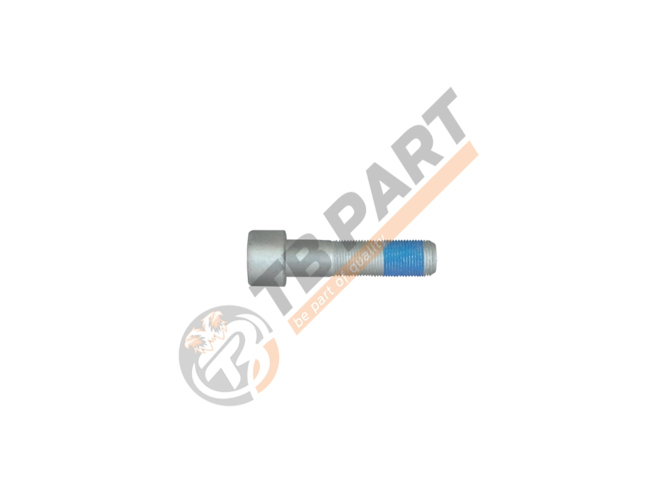 Bolt M20 x 2 x 83 mm