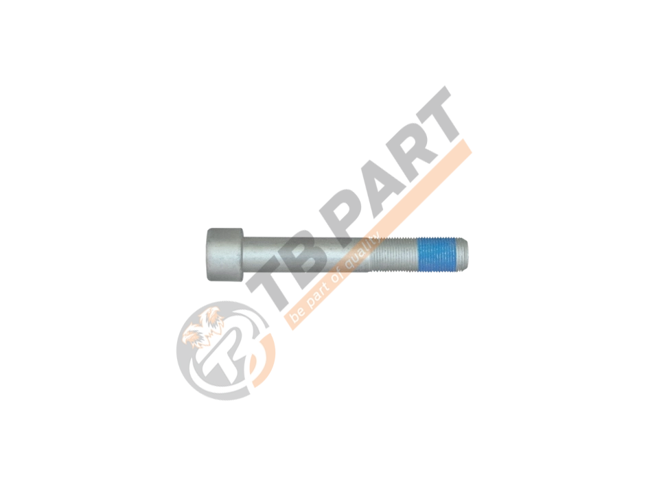 Bolt M20 x 2 x 124 mm
