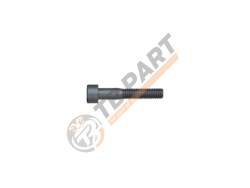 Bolt M8 x 45 mm