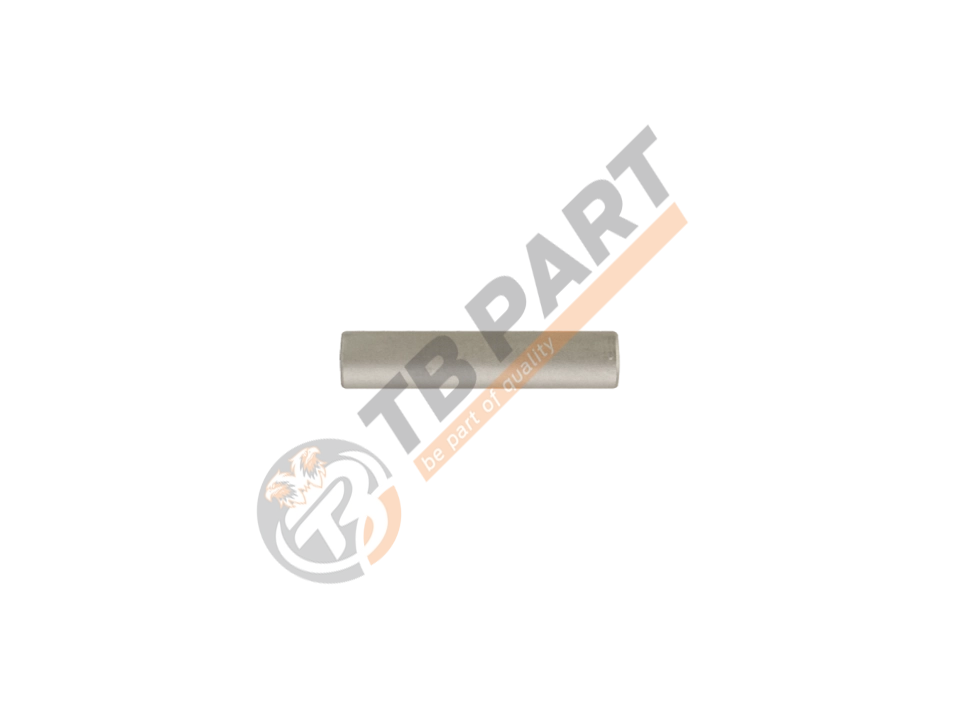 Anti Rotation Pin