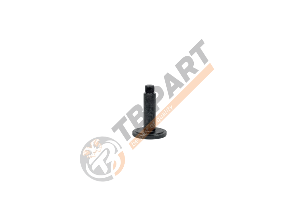 Calibration Bolt