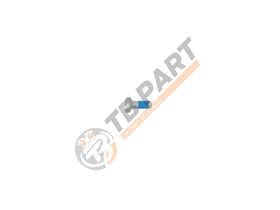 Cover Bolt M12 x 1,75 x 29 mm