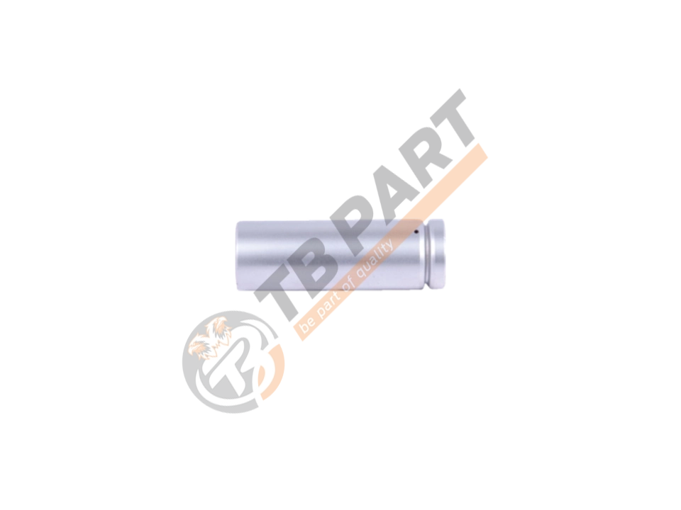 Guide Pin Ø35 x 110 mm
