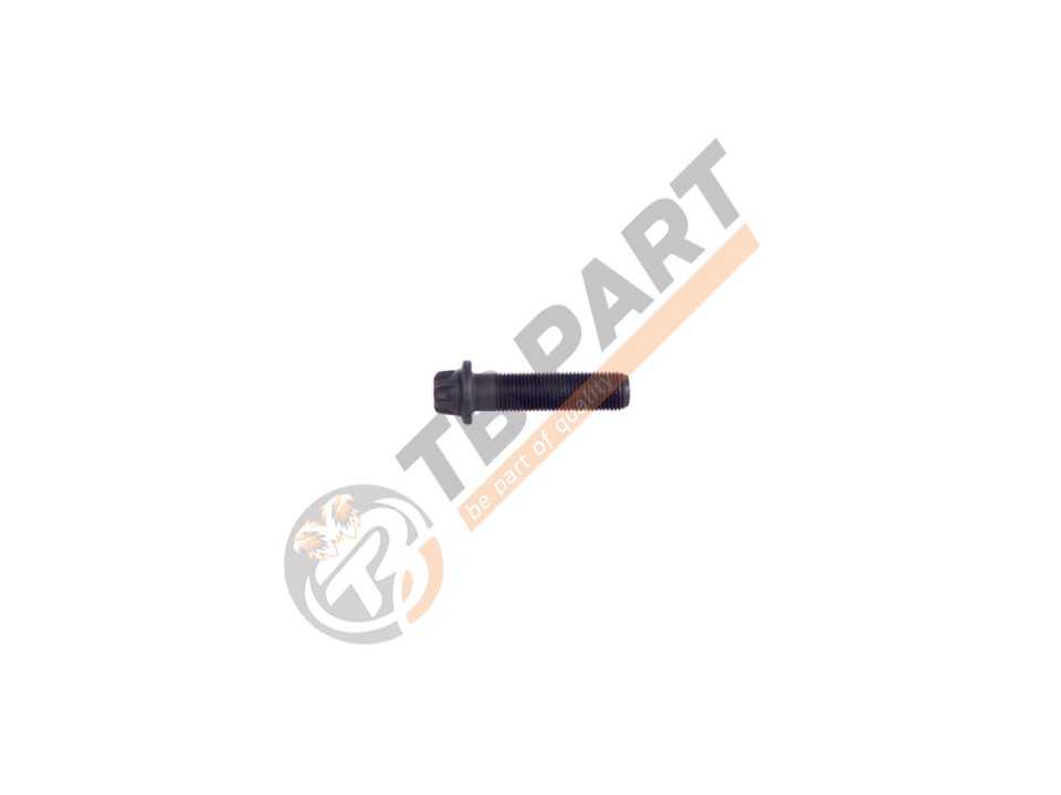 Cover Bolt M10 x 1 x 40 mm