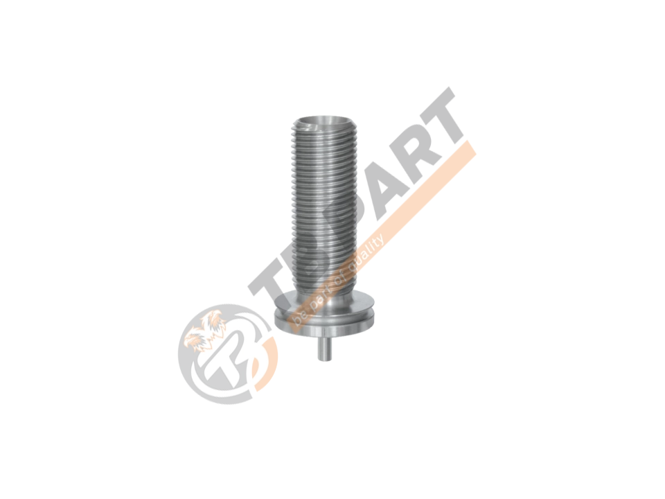 Calibration Bolt