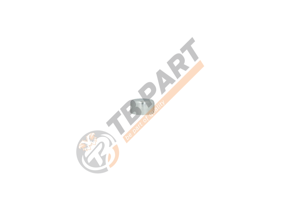 Steel Cap Ø42 x 22,5 mm
