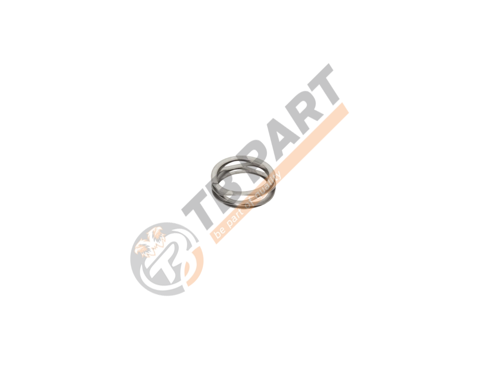 Mechanism Spring Raynel