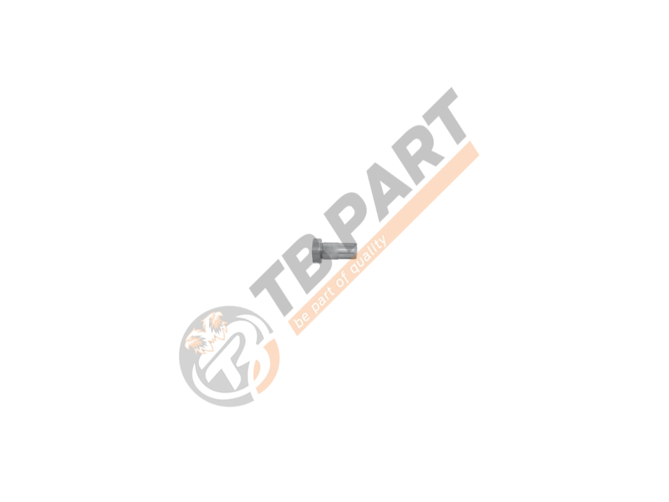 Rivet