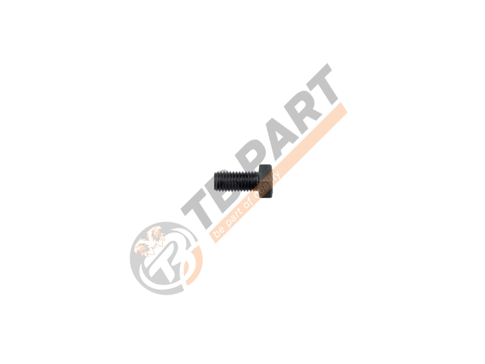 Bolt M12 x 1.75 x 25 mm