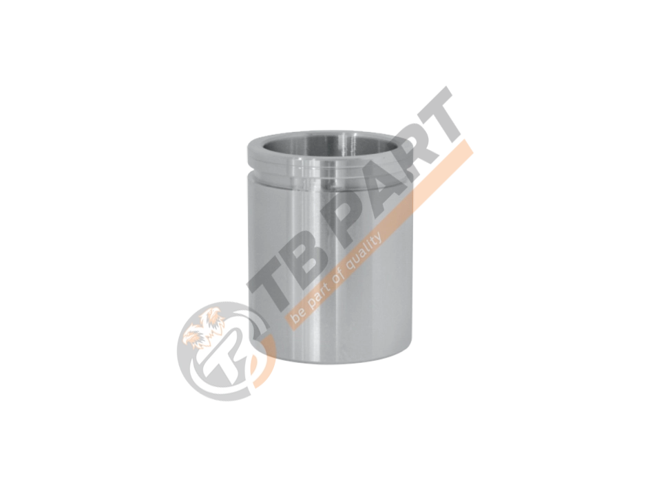 Piston Ø48 x 59,50 mm