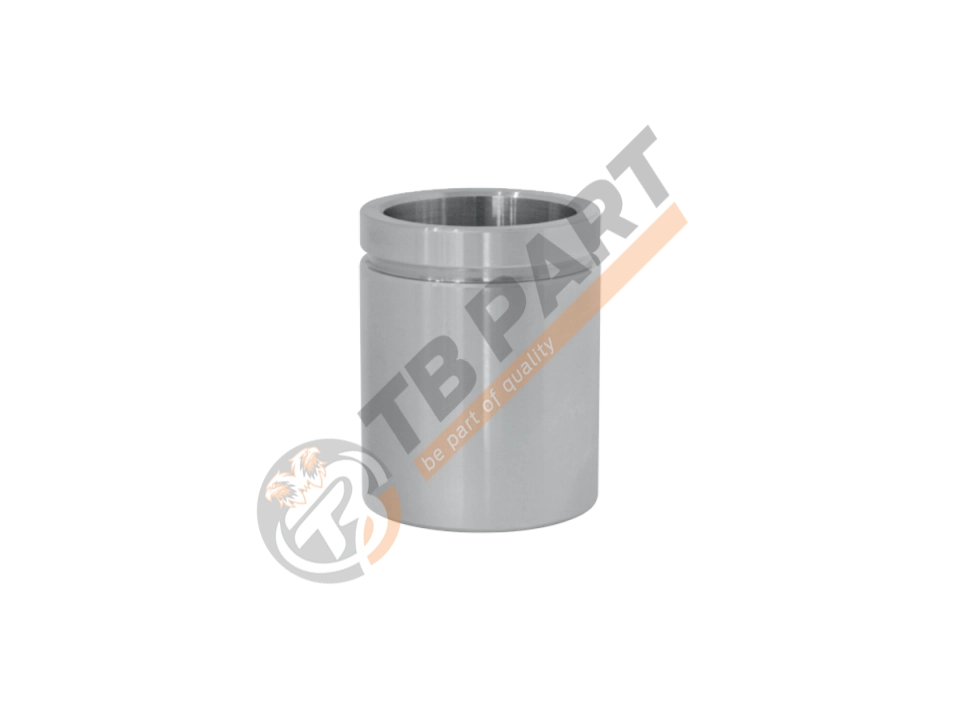 Piston Ø48 x 60,50 mm